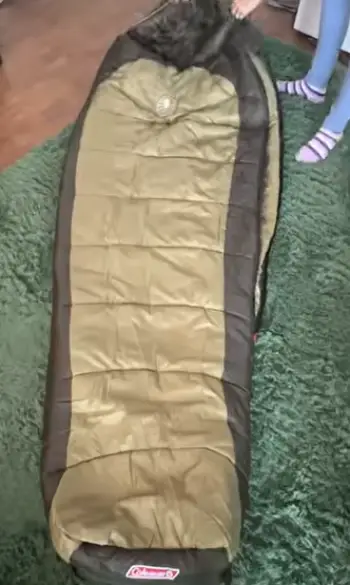 Coleman Sleeping Bags