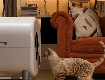 Cumrige Litter Box  