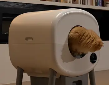 Cumrige Litter Box  