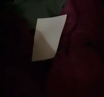 ECOS Laundry Sheets 