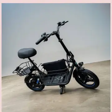Gyroor Electric Scooter