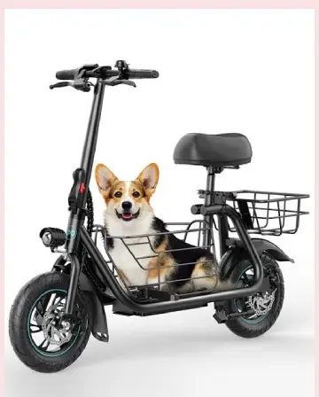 Gyroor Electric Scooter