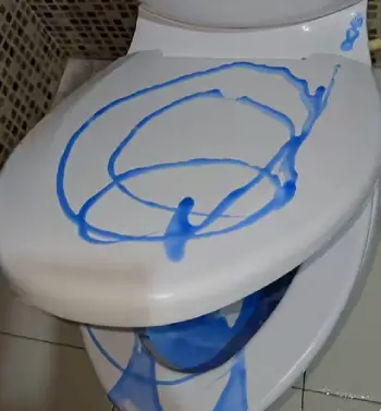 Happy Toilet Cleaner