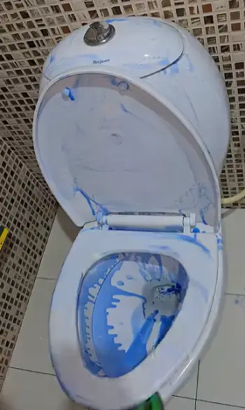 Happy Toilet Cleaner