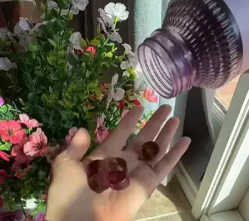 Lemme Play Gummies  