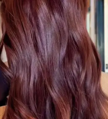 L'Oreal  Hair Color