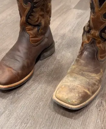   Mink Oil