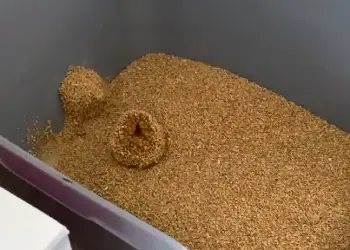  World's Best Cat Litter