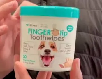 Petkin Fingertip Tooth Wipes  