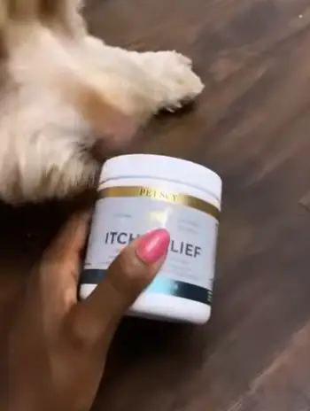 Petscy Itch And Allergy Plus