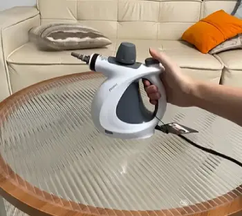Phueut Steam Cleaner  