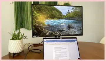 Sceptre Computer Monitor