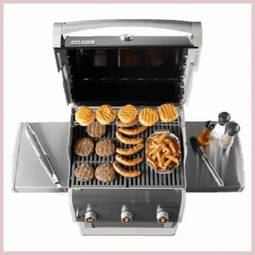 Weber Spirit 310
