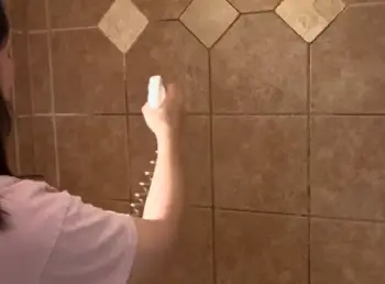 Wet And Forget Shower Cleaner